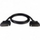 CA-SCSI50-PY1